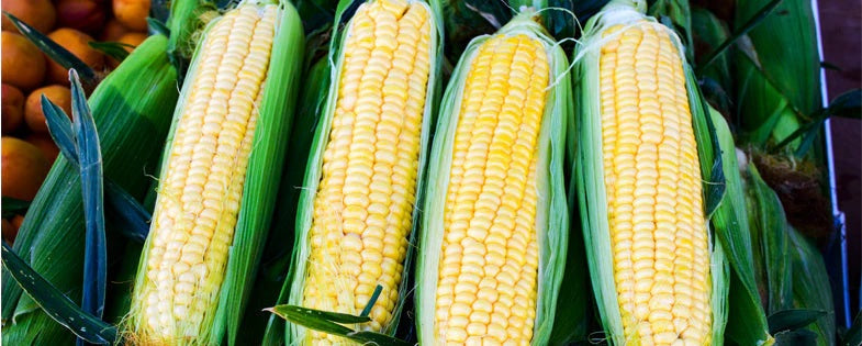 Wednesday Recipe: Summer Corn Soup