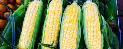 Wednesday Recipe: Summer Corn Soup