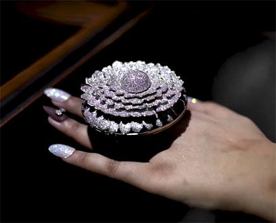 25-Year-Old Indian Jeweler's 12,638-Diamond Ring Smashes World Recordcccc