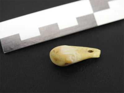 Scientists Extract Human DNA From 20,000-Year-Old Deer-Tooth Pendant
