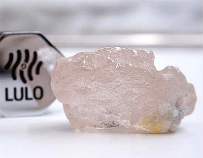 170-Carat Lulo Rose Finds a New Owner, But Its Selling Price Remains a Mystery
