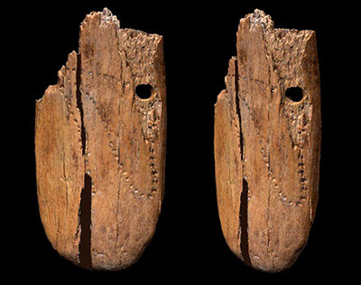 41,500-Year-Old Tusk Pendant May Be Eurasia's Oldest Human-Decorated Jewelry