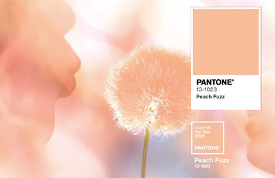 Velvety Orange-Pink 'Peach Fuzz' Named Pantone's 2024 Color of the Year