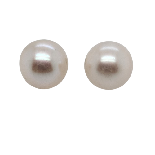 Freshwater Pearl Stud Earrings