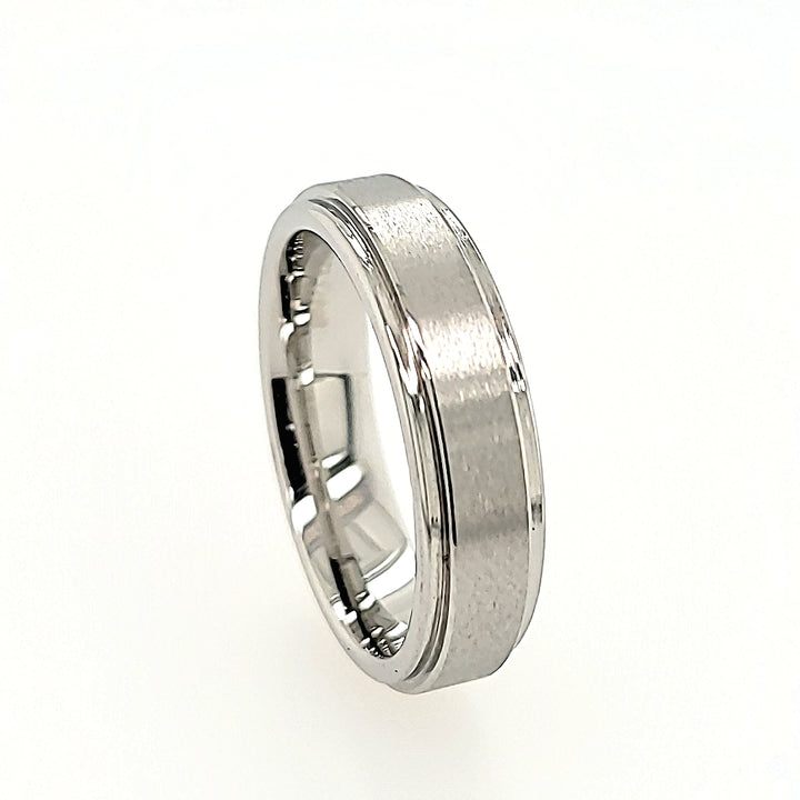 Cobalt Chrome Wedding Band with Raised Satin Center
