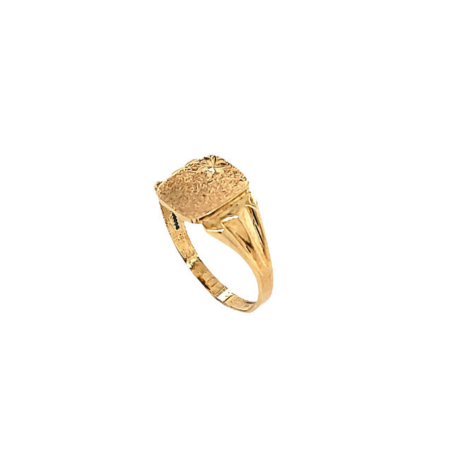 Brushed Signet Ring in 10k Gold