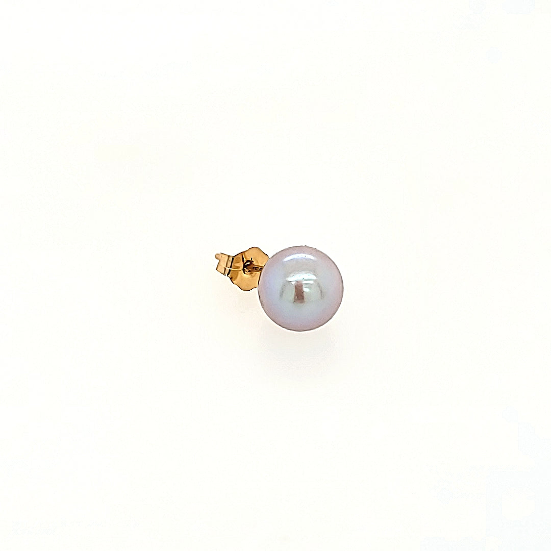 Grey Akoya Pearl Earrings in 14k Gold