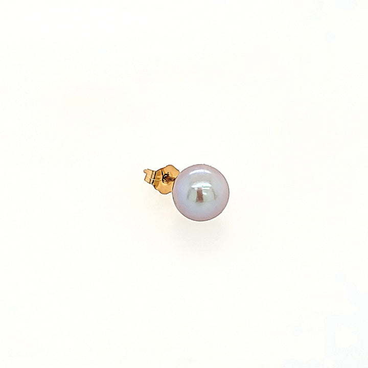 Grey Akoya Pearl Earrings in 14k Gold