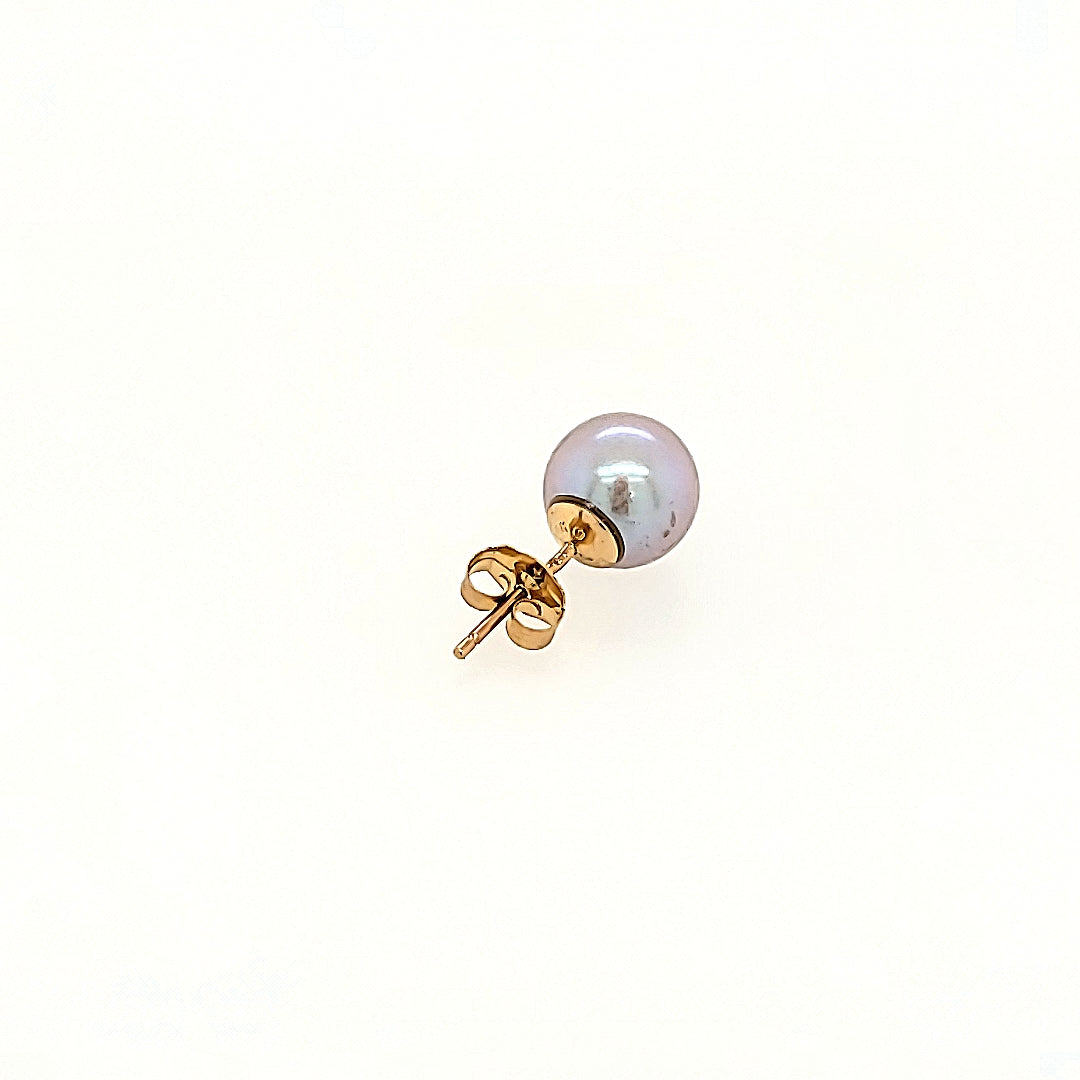 Grey Akoya Pearl Earrings in 14k Gold