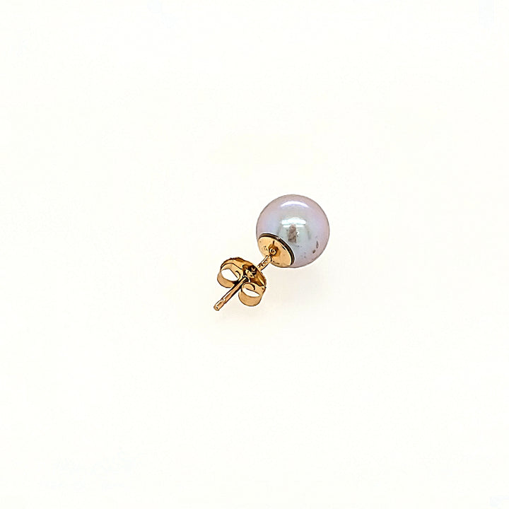 Grey Akoya Pearl Earrings in 14k Gold