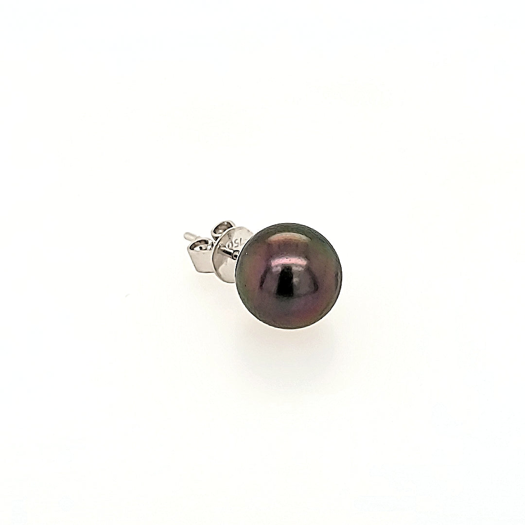 Black Pearl Studs in 18k Gold