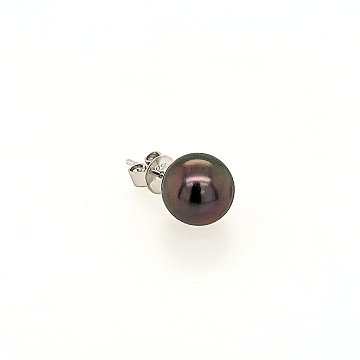Black Pearl Studs in 18k Gold