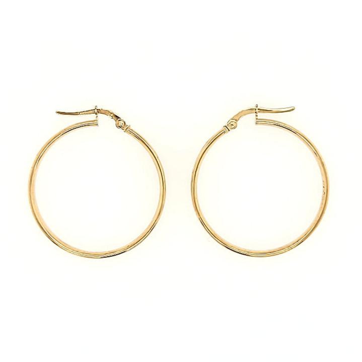 Hoop Earrings in 14k Gold