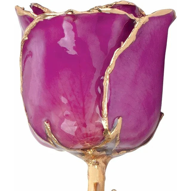 Lacquered Amethyst Colored Rose with Gold Trim