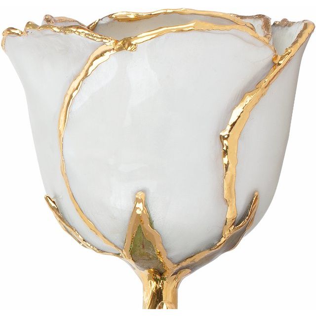 Lacquered Pearl Colored Rose with Gold Trim