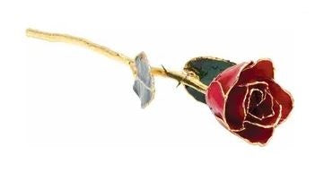 Lacquered Red Rose with Gold Trim