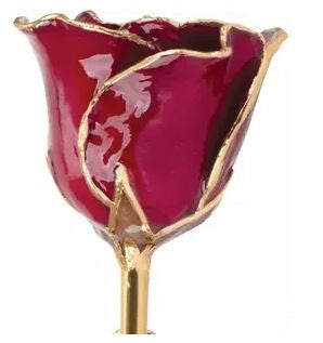 Lacquered Garnet Colored Rose with 24K Gold Trim