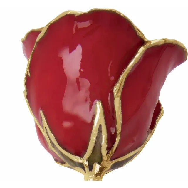 Lacquered Red Rose with Gold Trim